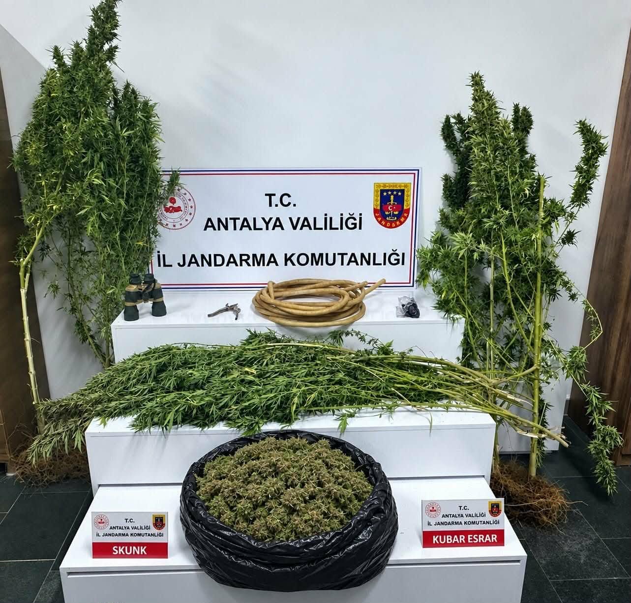 Alanya da Uyuşturucu Operasyonu...