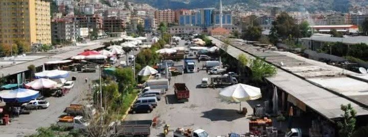 Alanya’ya hal operasyonu: Payallar’da bir firma yöneticisi gözaltına alındı...