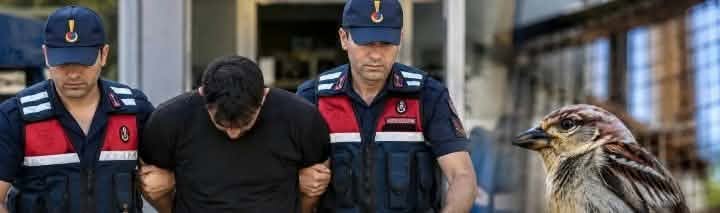 Alanya’da kuşları öldürüp görüntüleri paylaşan Yusufcan Turay tutuklandı...