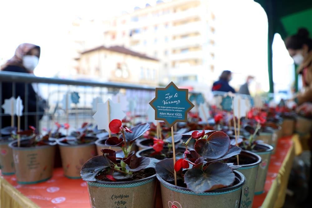 10 bin çiçek 4 42b3e