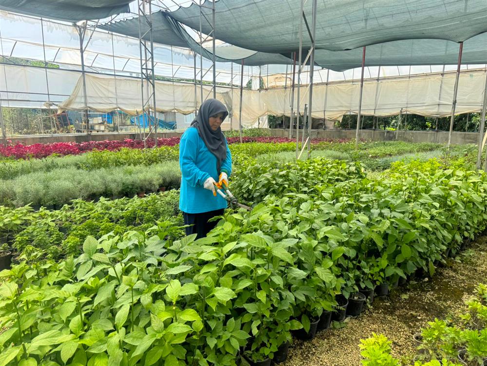 130647960209462400 f19d7