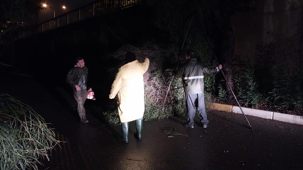 136189760531399008 76d33