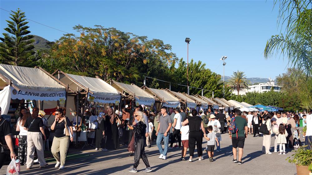 158600992493767392 a2ccd