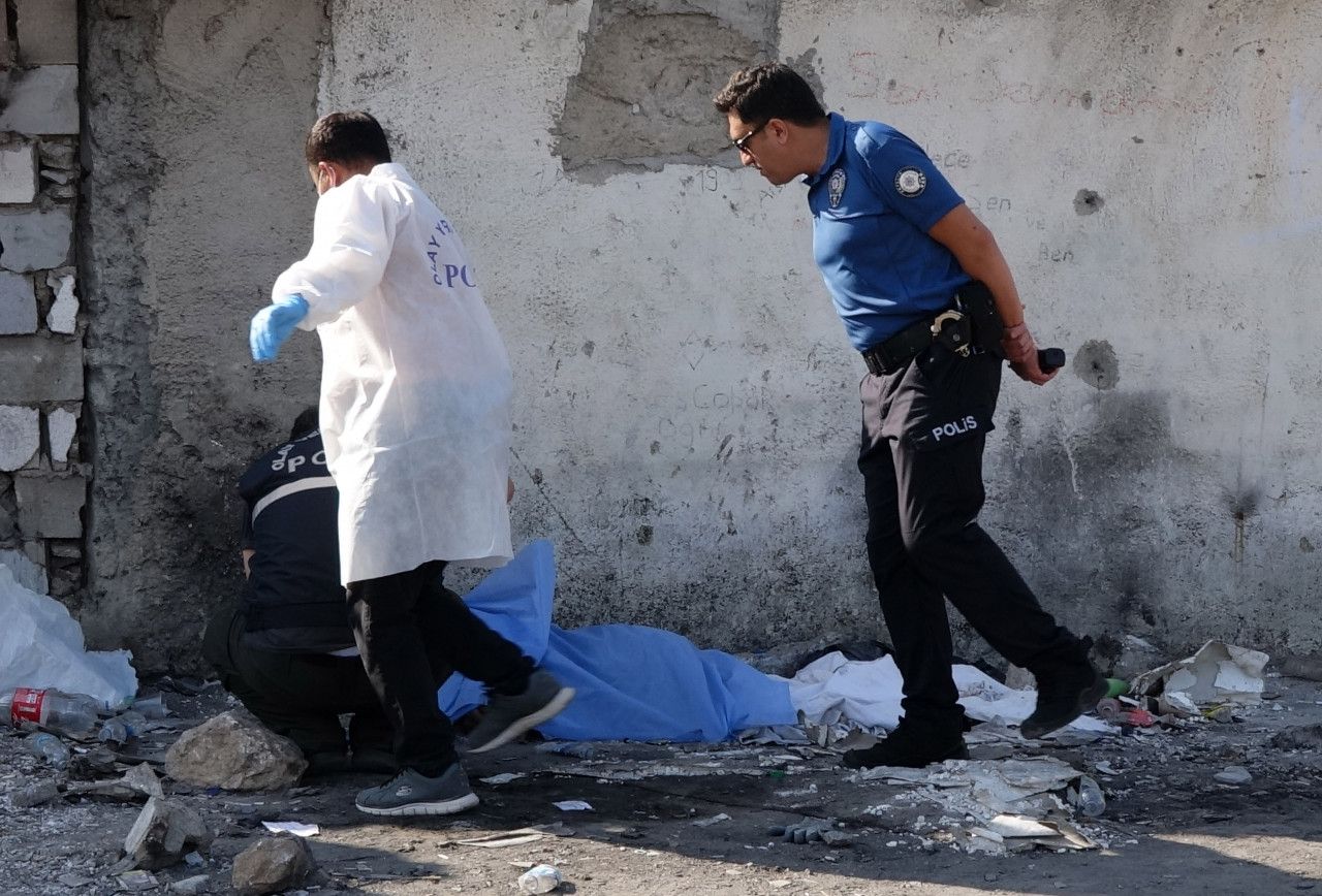 167187943 1696066079 2e909