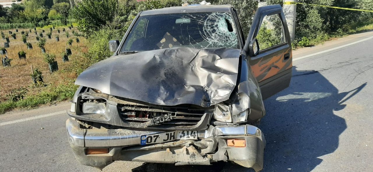 170129007 1697214181 d42c9