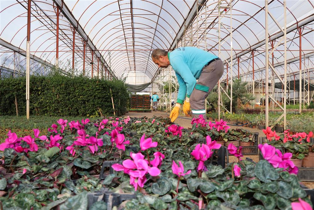 21045506758057344 82522