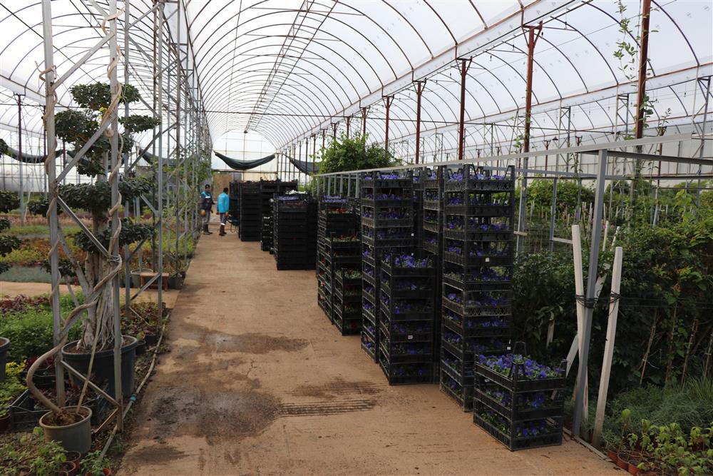 213547760488671296 5c164