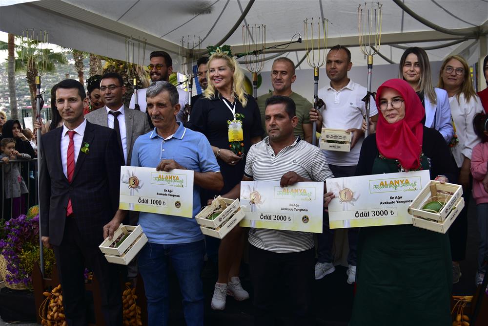 263132624462032800 a7d9d