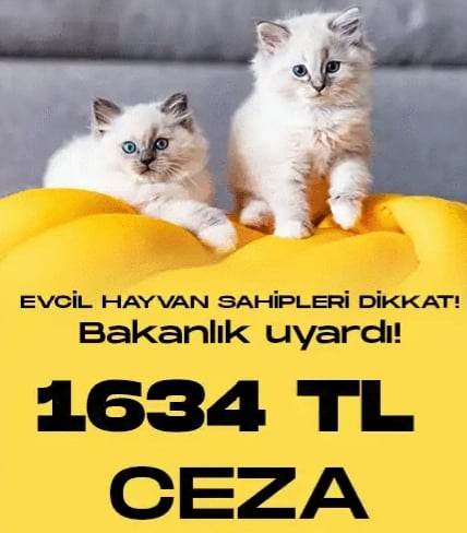 317477850 539389701392021 1239077183546174263 n 4b66a