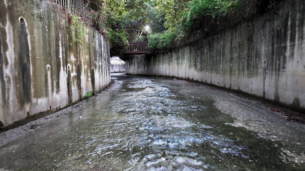 325968320524868480 12efd