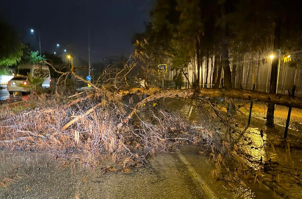 328862496724071744 e22af