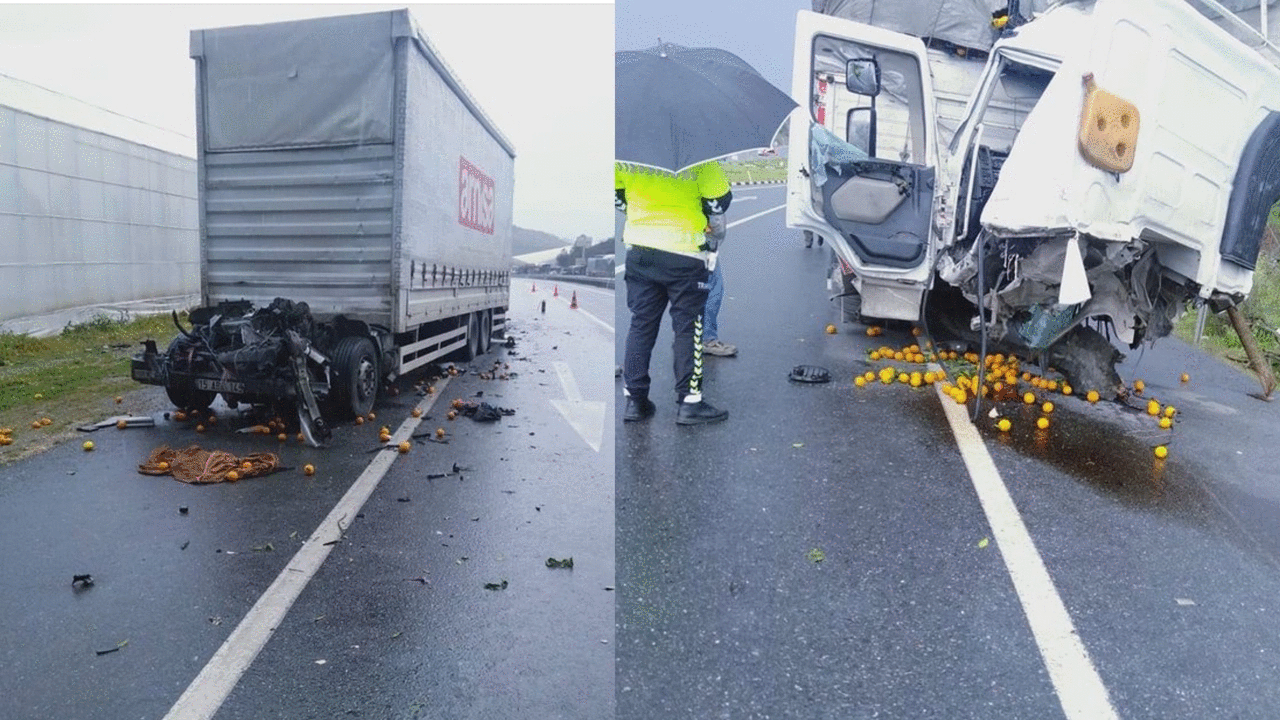 334670658 1698628367237431 1672768492137125456 n c0916