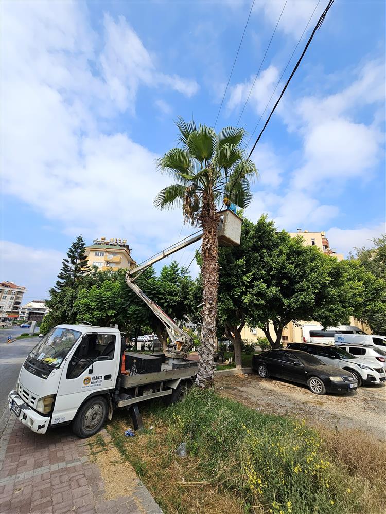 39181172810828096 3b334