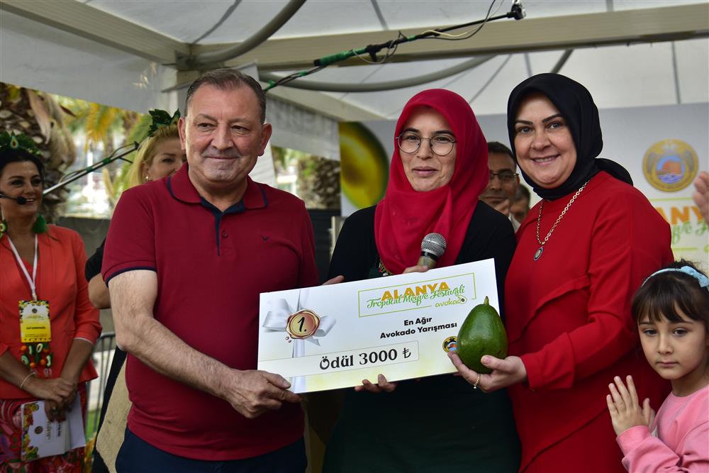 417441792239904288 ca820