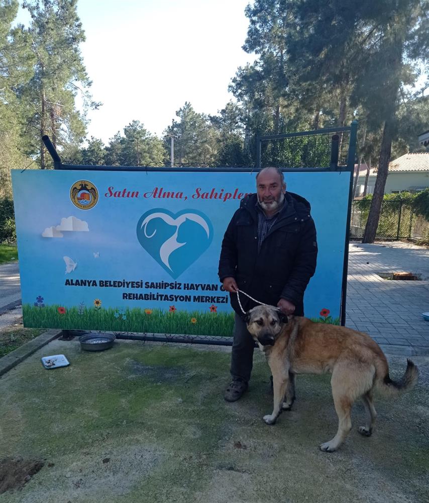 424918592247381088 09c3f