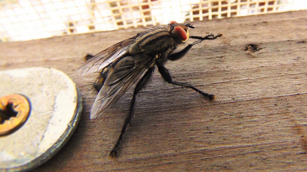 462539944 427534103694965 8115750729894229308 n 33601