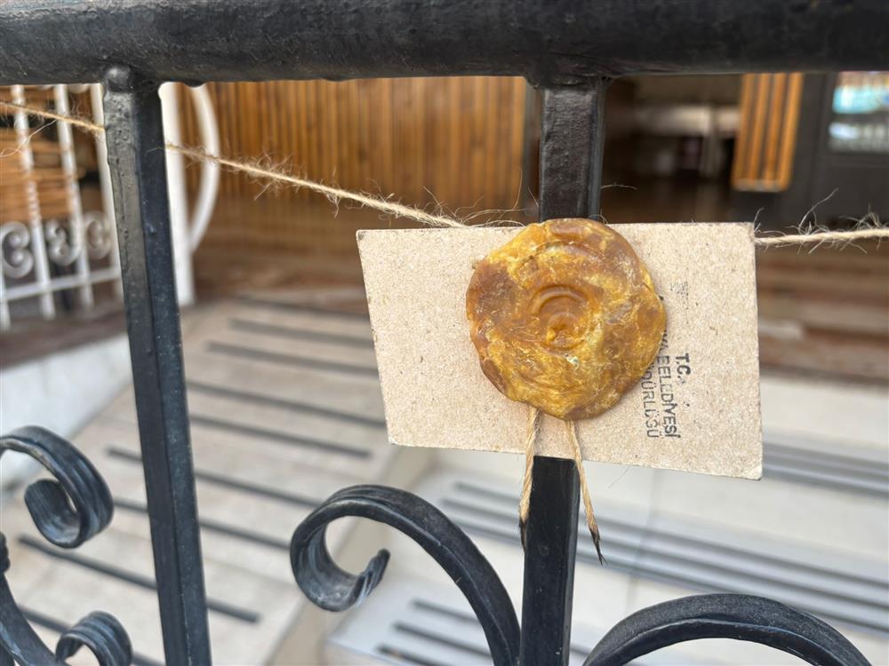 470134432412682656 cc6e5