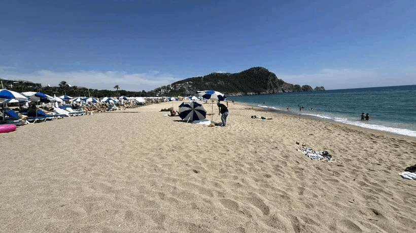 491068017 648839168158812 1892608719293523024 n bf172