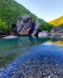 512733732 1396053358290100 5487565543620441960 n 62162