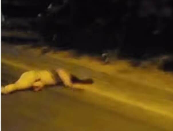 524624671 1731323894198035 5332455196213558650 n 3a9e9