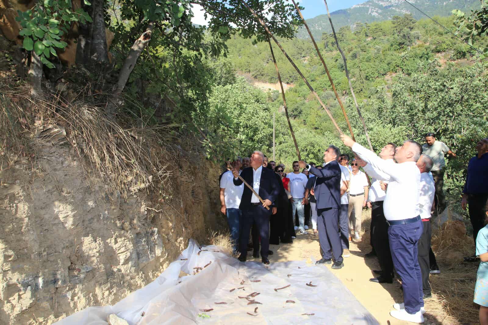 540749438 1120226443393044 3617296029825781794 n 3043b