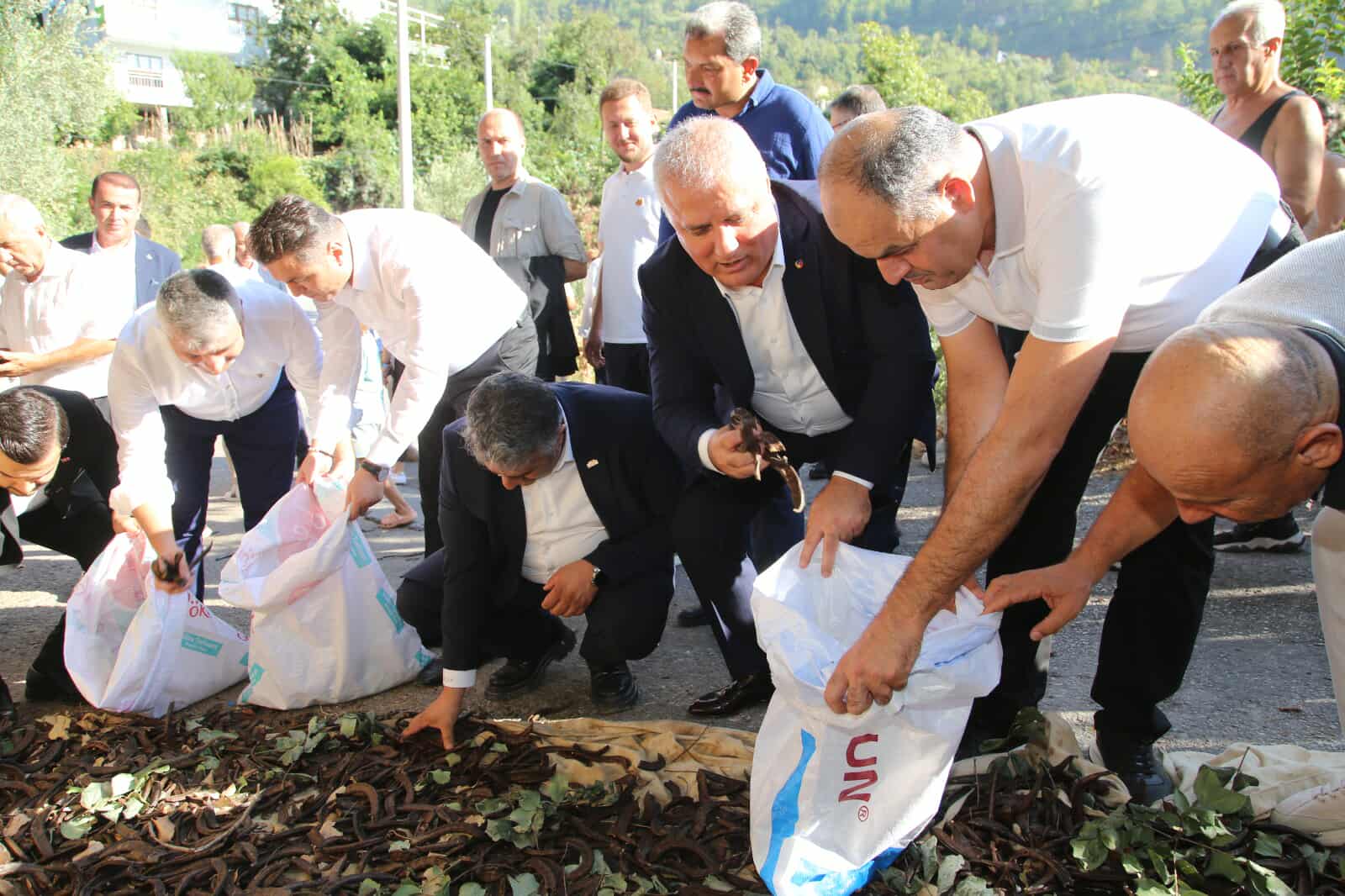 541070797 789164206846158 5596351128389386139 n 32403