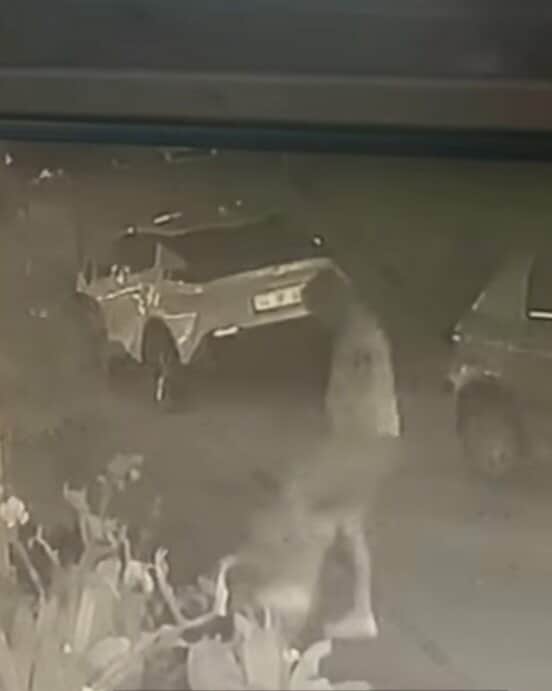 542107902 1894461754436544 2191464872360520444 n d670e