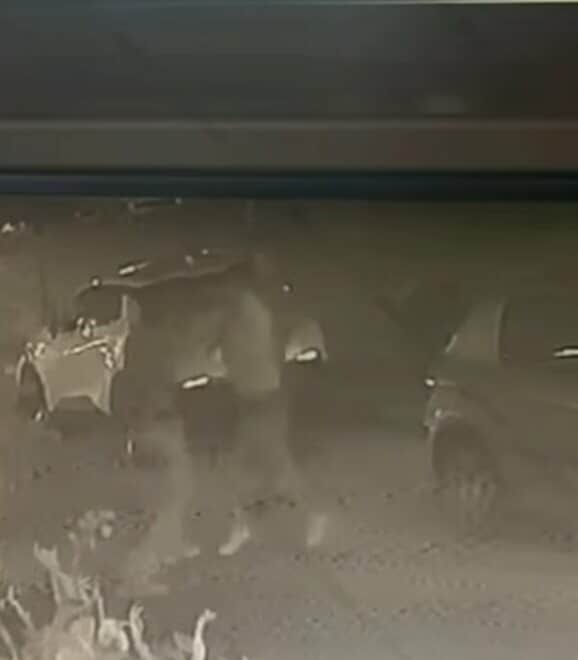 543820306 1109179750819327 1923565095211859254 n 93569