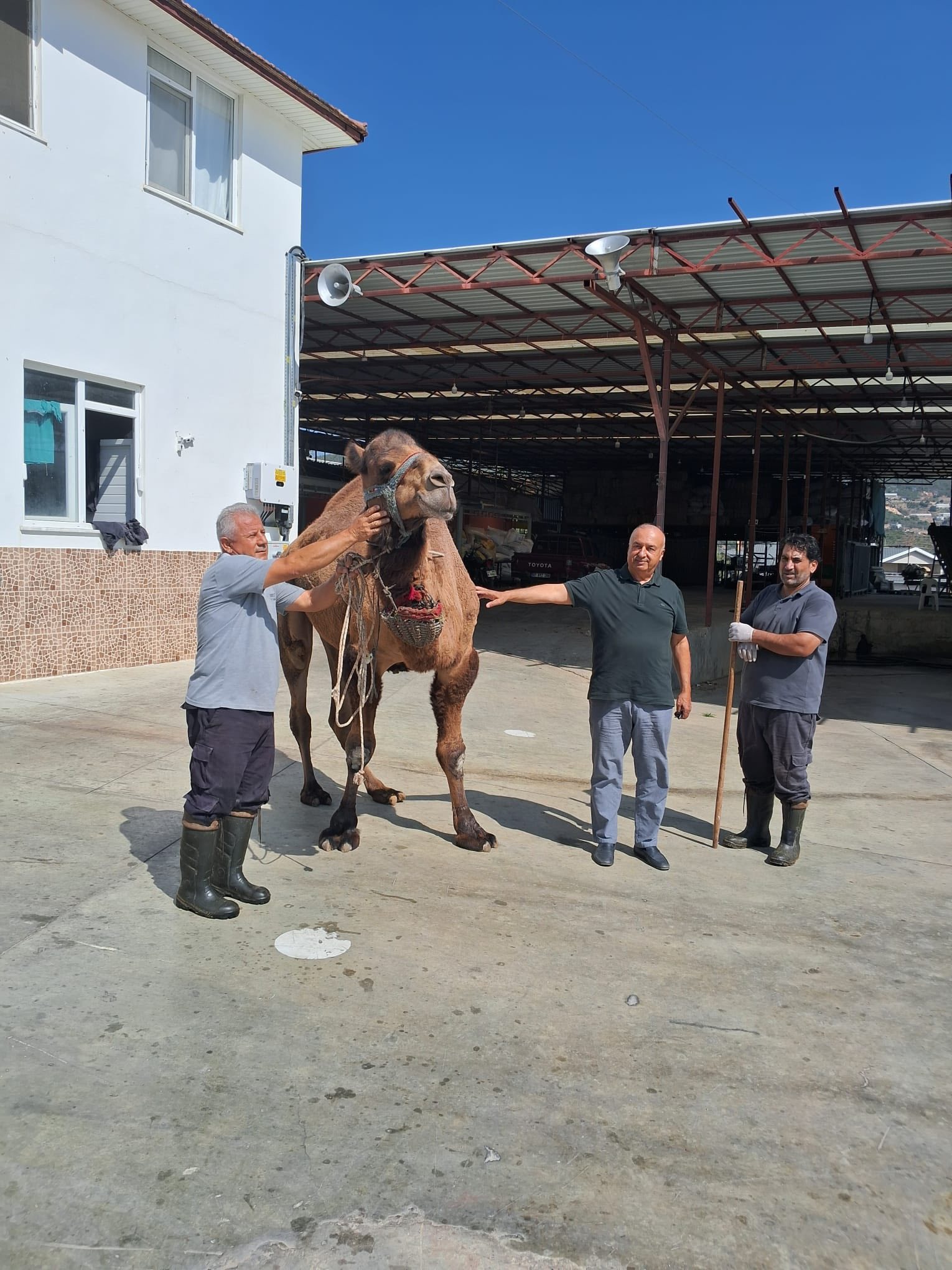 548881306 4169711070014242 6217443122159609287 n 1a6cd