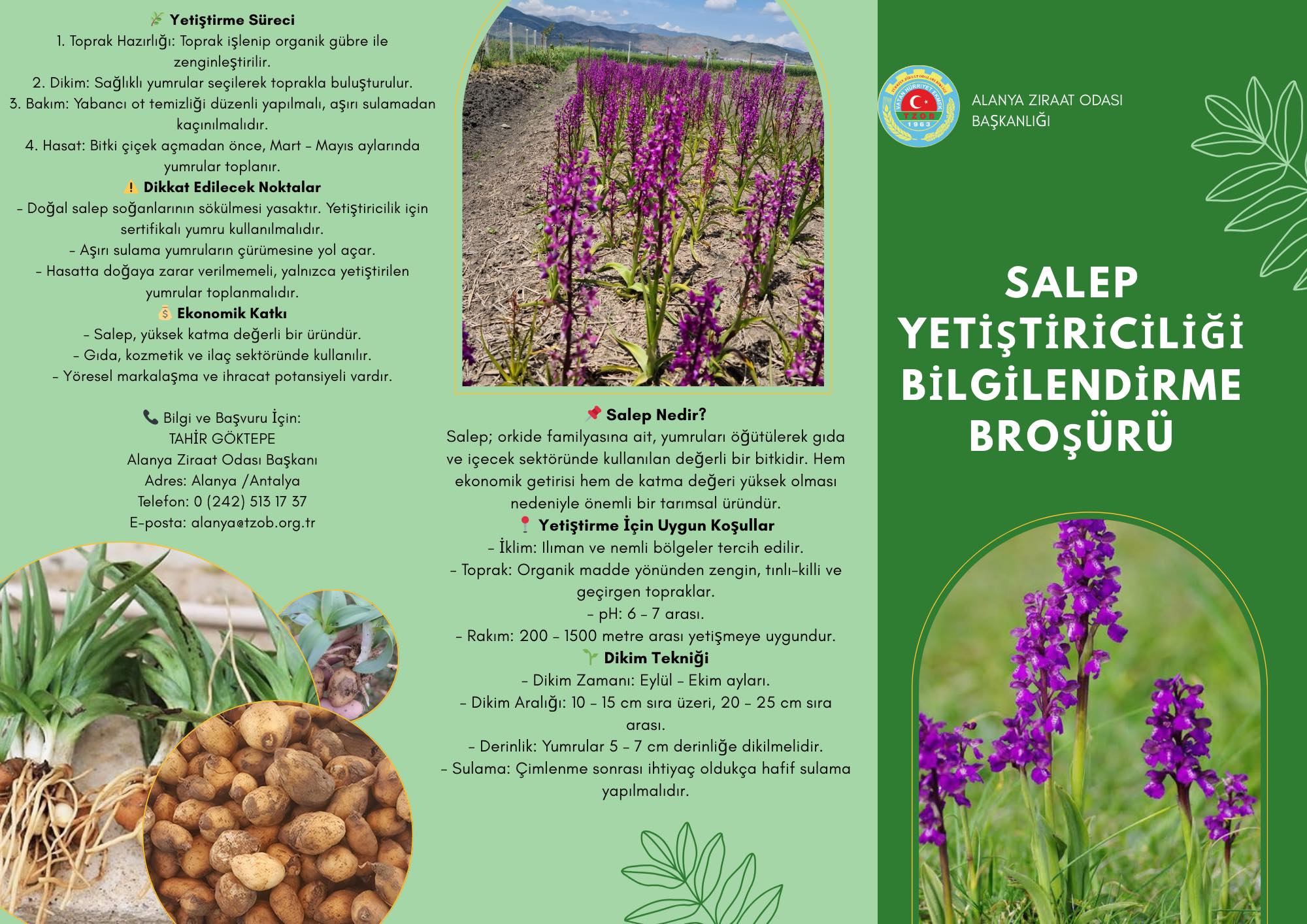 557325906 31568821192732789 1791873834213982890 n 5fc07