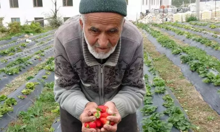 Yaptığı yürekleri ısıtan hareketle Türkiye onu konuşmuştu! 'İbrahim Dede'den acı haber...