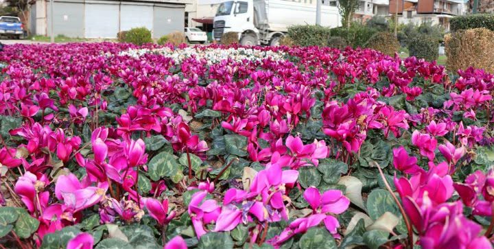 606930222 3179835442192312 2618907606893218605 n b7497