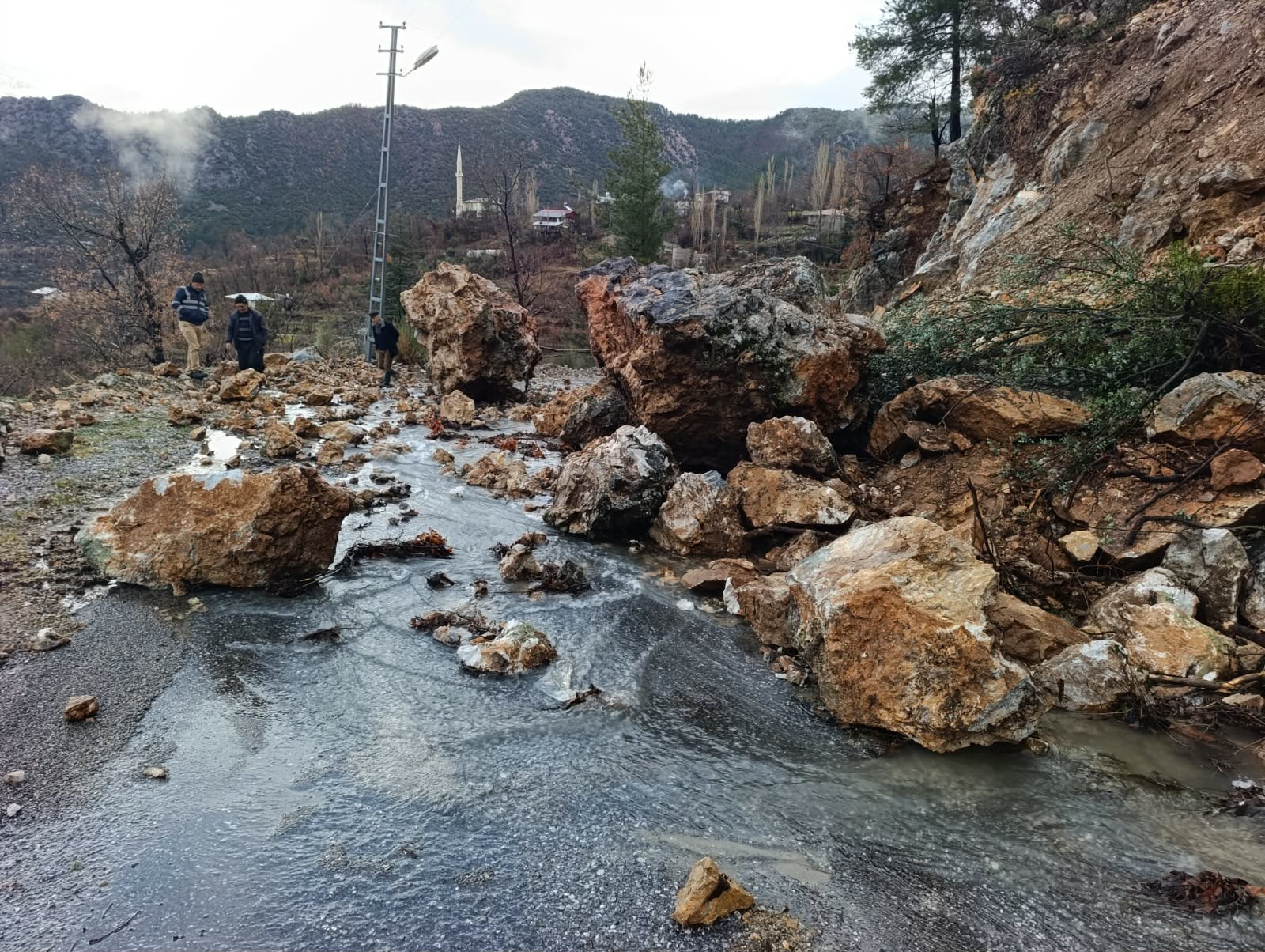 616887082 869442882454251 2045980736991706827 n d4331