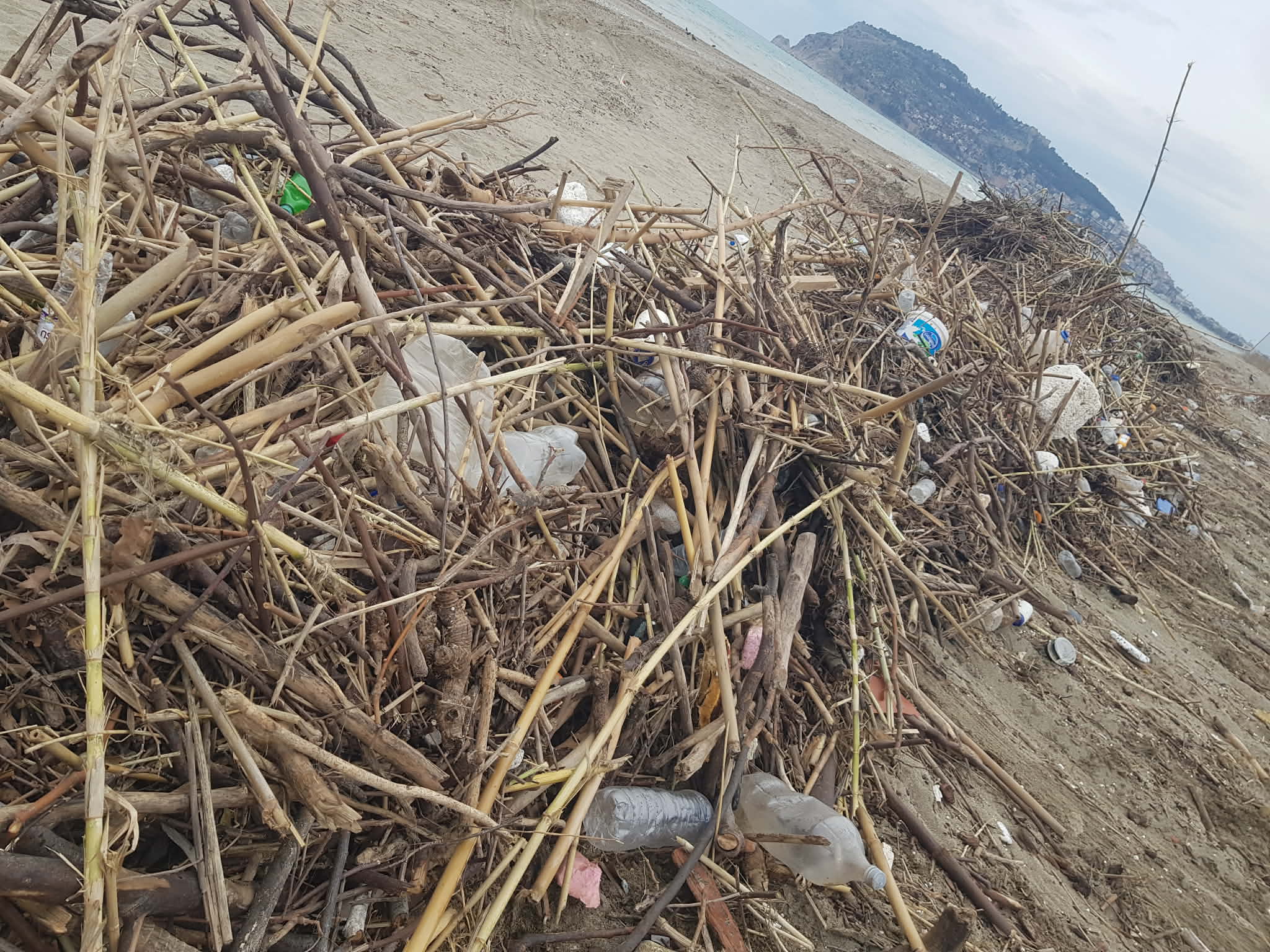 619513996 1814071935977211 3056242839332206167 n 6a5c8