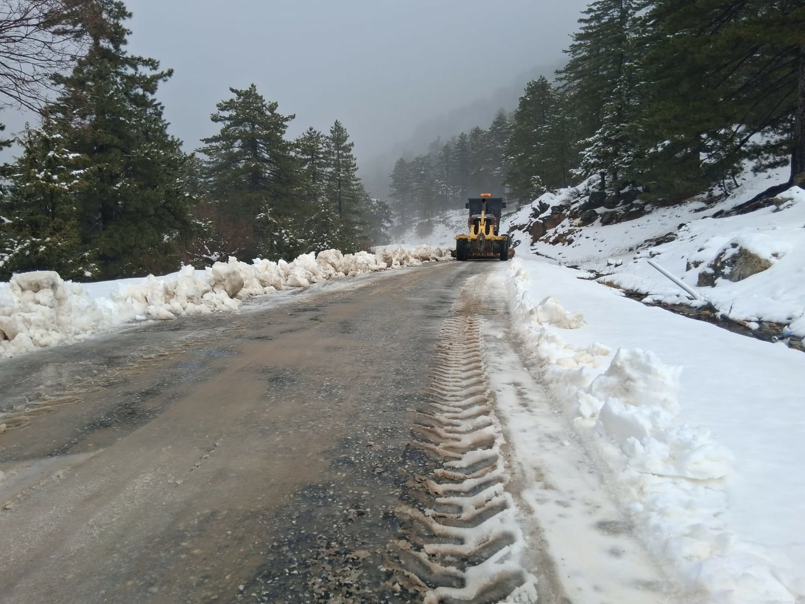 619564192 1533366517719685 218449254113137108 n a802d