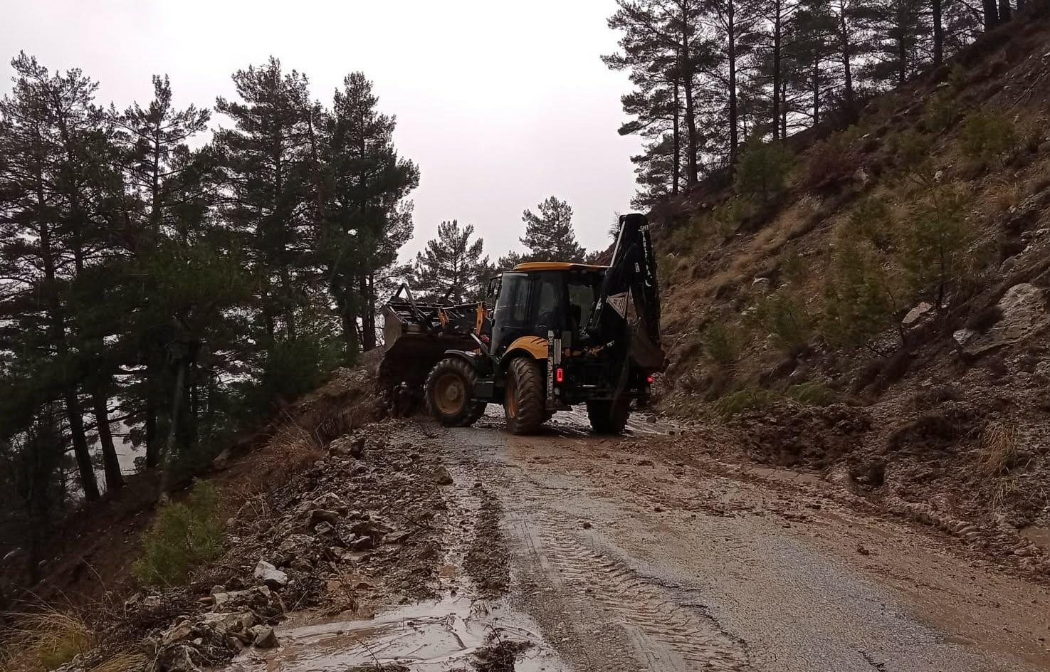 620730104 1468238558253063 1205877340236797875 n 36c80