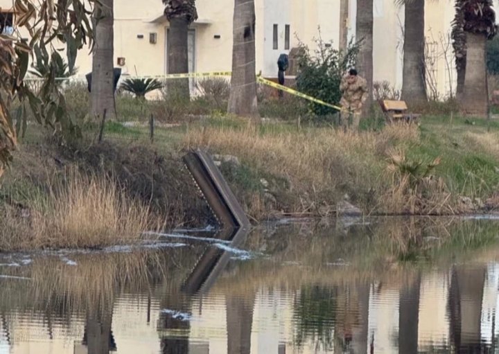 641848386 1582047833004072 5585729927721986844 n 48709