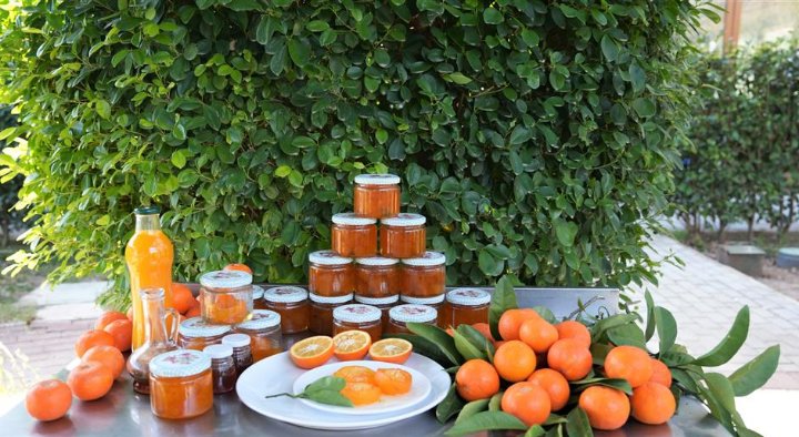 645404817 1635227987826027 9124993454435581240 n 31d98