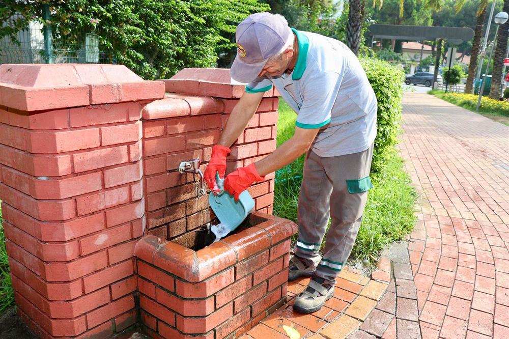 662952256399964096 a6bd8