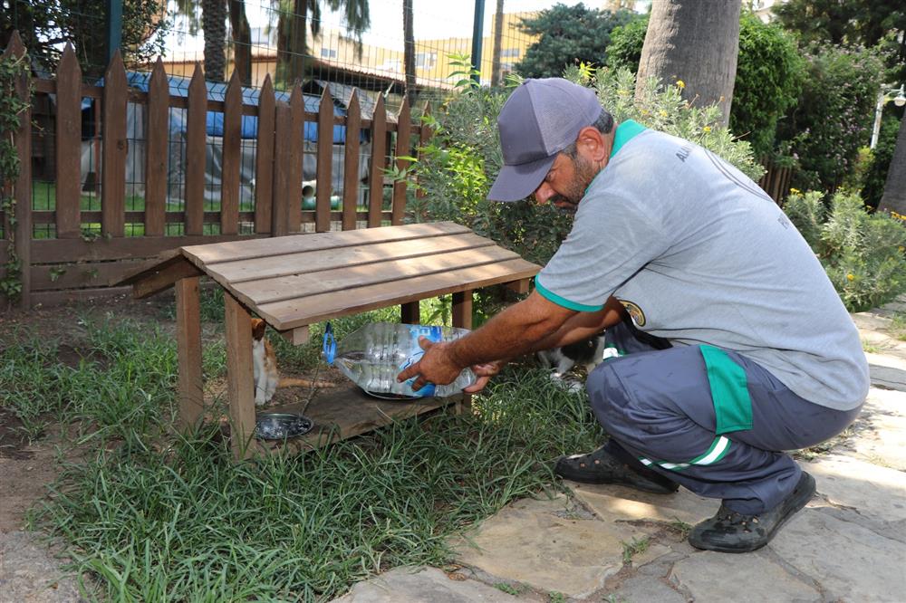 685800512115644816 053db