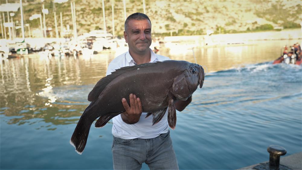 693530880430542720 f2727