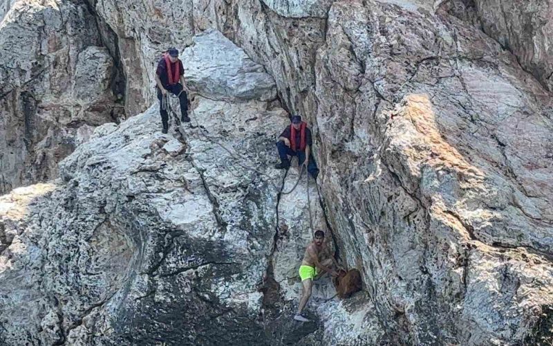 86299 alanya kalesinde kayalik bolgede mahsur kalan dag kecisi kurtarildi 2 ab58a