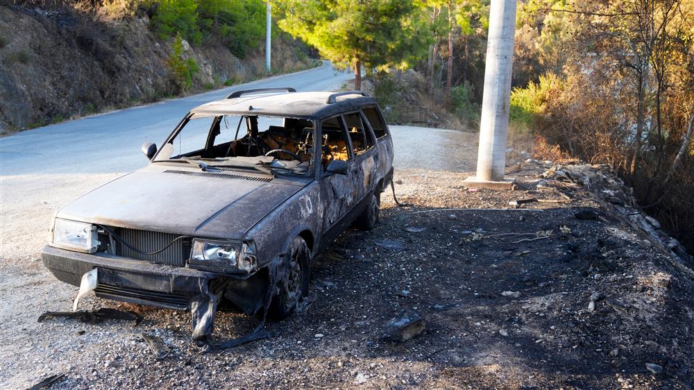 866491520150842304 47a6f