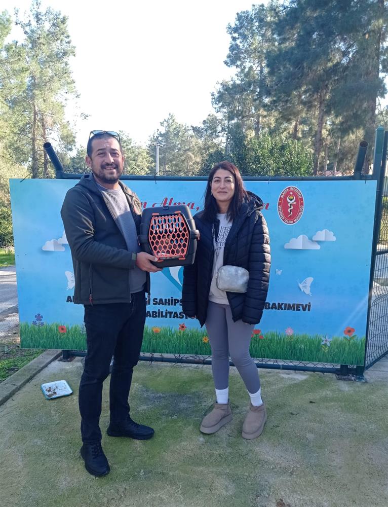 914204864309414144 77ab6