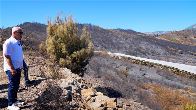 991787136908927552 e4264