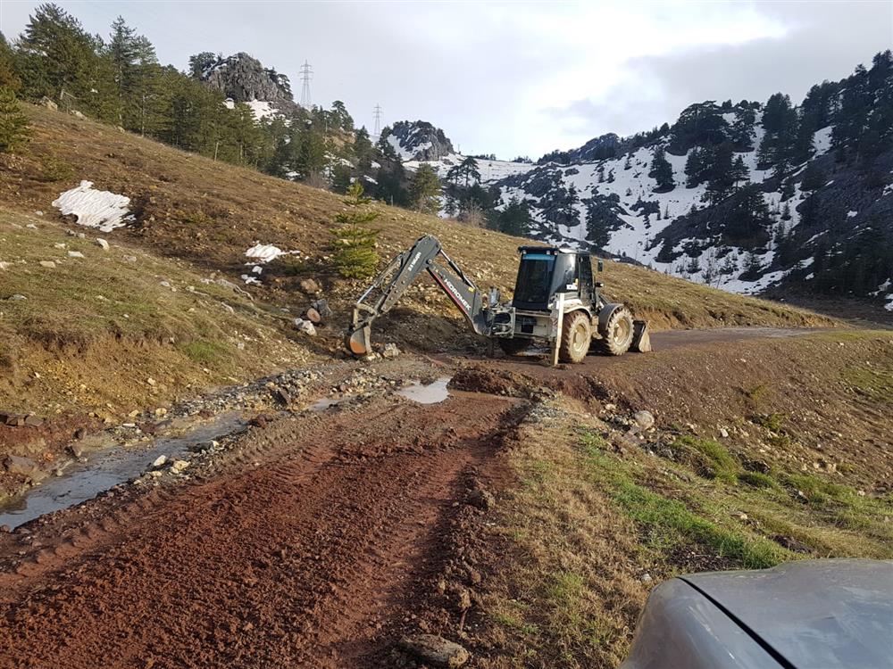 AL.BLD.ROKOR KIRDI 3 327861952245002384 78100