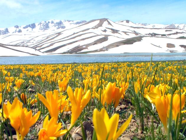 ALARA GEYİK DAĞI 9 9bd1e