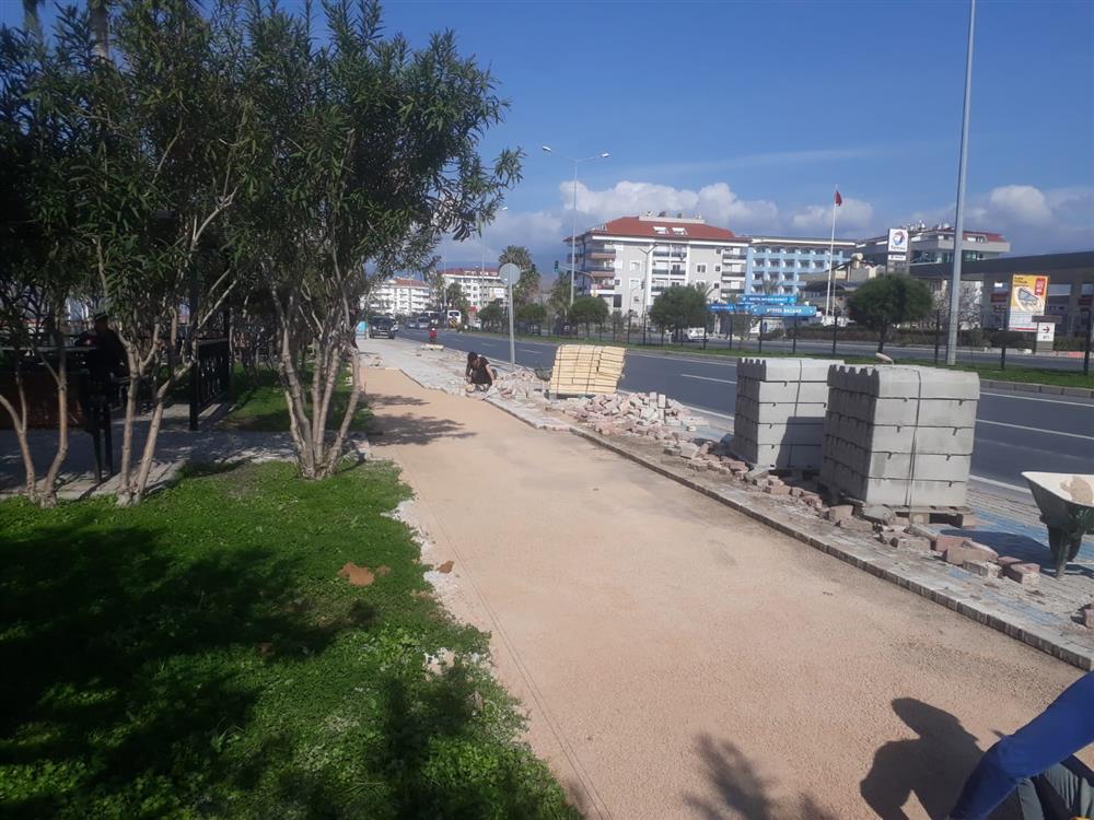 ALB 7 578096704656911104 50d53