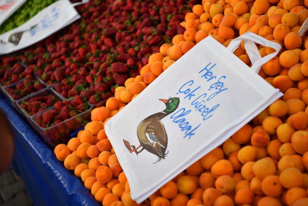 ALOOO 2 1559307159 PHOTO 2019 05 31 14 43 27 1 13a38