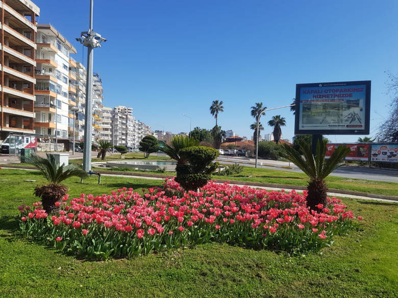 ANTALYA LALE AÇTI 5 ea62f